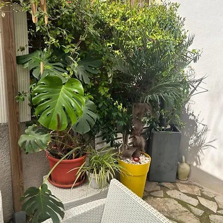 Beautiful With Courtyard, Parking And Optional 30e Per Day